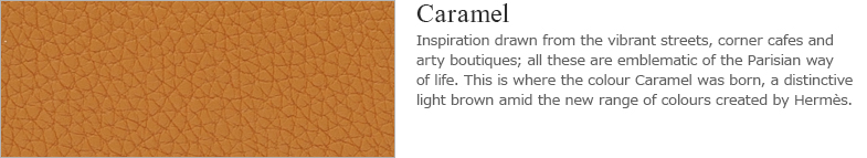 Caramel：Inspiration drawn from the vibrant streets, corner cafes and arty boutiques; all these are emblematic of the Parisian way of life. This is where the colour Caramel was born, a distinctive light brown amid the new range of colours created by Hermes.