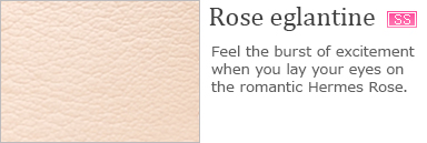 Rose eglantine