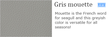 Gris mouette