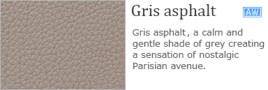 Gris asphalt