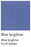 Blue brighton