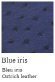 Blue iris