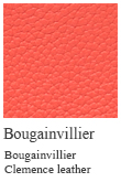 Bougainvillier