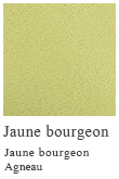 Jaune bourgeon