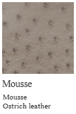 Mousse