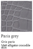 Paris grey