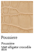 Poussiere