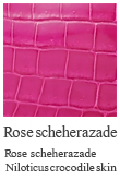 Rose scheherazade