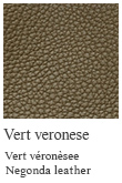 Vert veronese