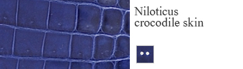 Niloticus crocodile skin