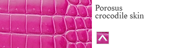Porosus crocodile skin
