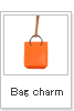 BAG CHARM