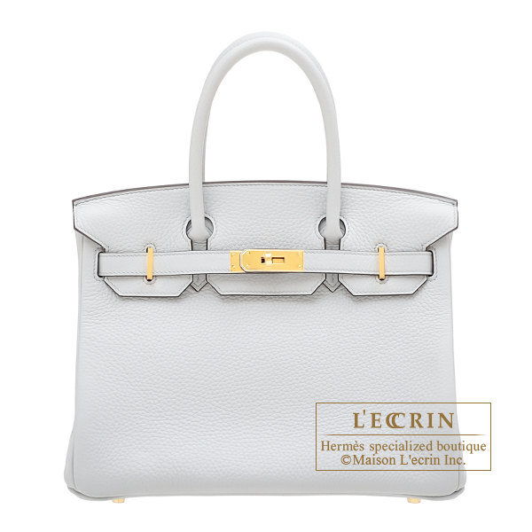 baby blue birkin bag