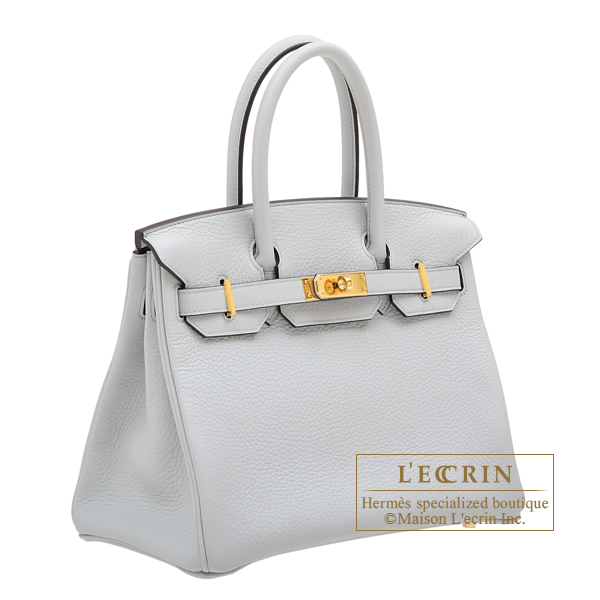 Light blue birkin bag 2025