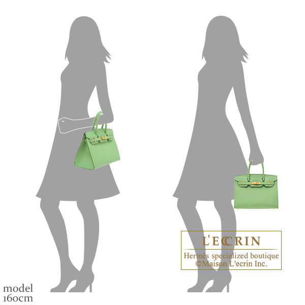 Hermes Birkin 30 Vert Criquet Epsom Gold Hardware in 2023