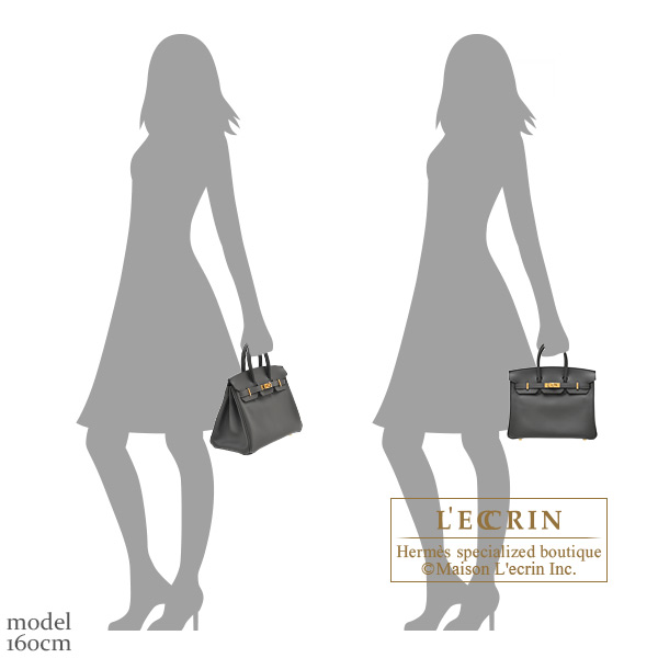 Hermes Birkin bag 25 Graphite Jonathan leather Gold hardware | L 