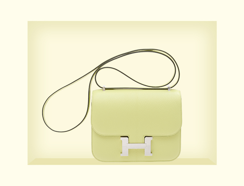 Jaune bourgeon カラー画像