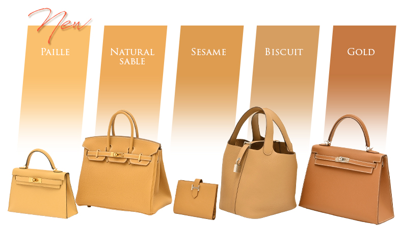 Fall/Winter 2025 Collection“Paille”