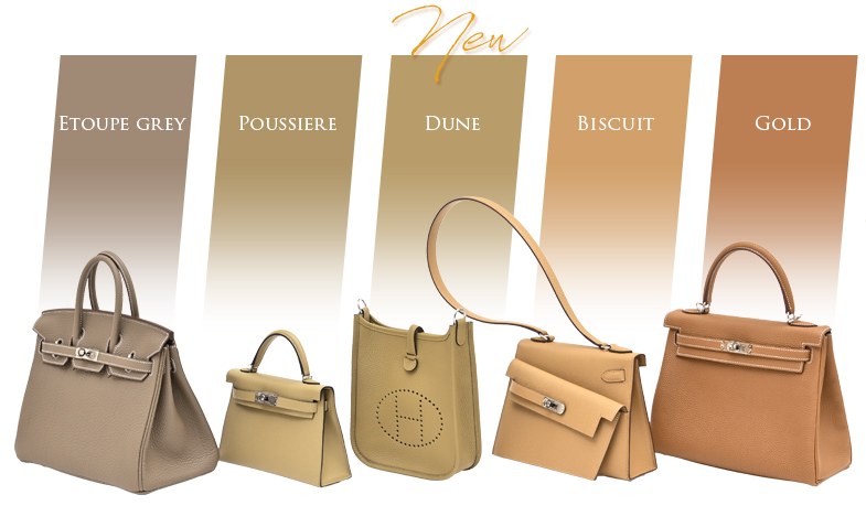From left: Etoupe grey / Poussiere/ Dune(2026SS) / Biscuit/ Gold