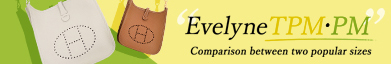 Hermès Evelyne PM・TPM Comparison image