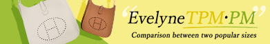 Hermes Evelyne PM・TPM Comparison image