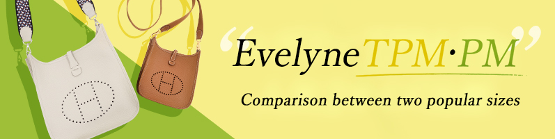 Hermes Evelyne PM・TPM Comparison image